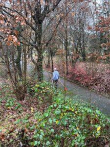Services jos in de tuin
